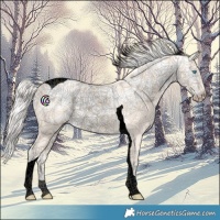 Horse Color:Void Cremello Ice Tobiano 