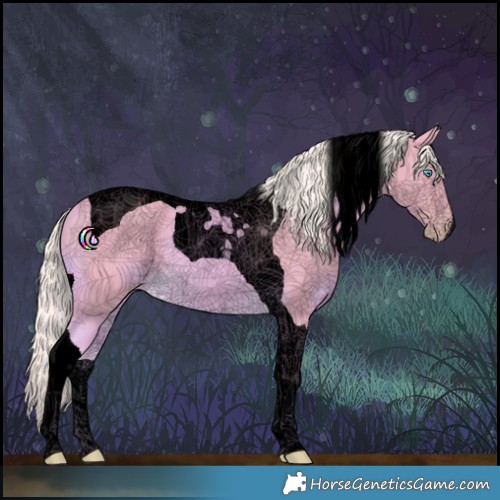 Horse Color:Void Watercolor Cremello Tobiano