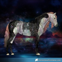 Horse Color:Void Nacre Watercolor Chestnut Ice Tobiano 