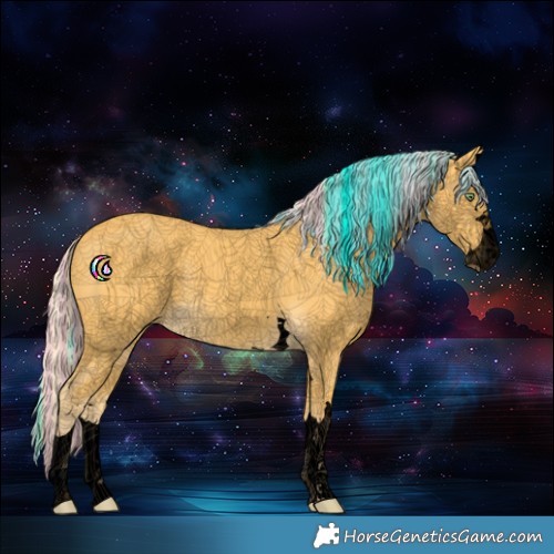 Horse Color:Void Painted Palomino