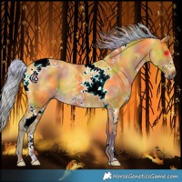 Horse Color:Painted Nacre Silver Buckskin Sabino Tobiano 
