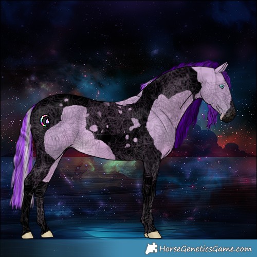Horse Color:Void Painted Watercolor Cremello Tobiano 