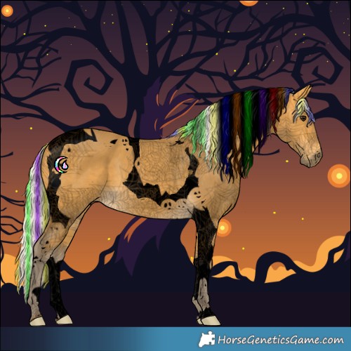 Horse Color:Void Painted Silver Buckskin Tobiano