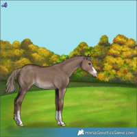 Horse Color:Liver Red Dun Mushroom