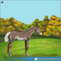 Horse Color:Liver Red Dun Mushroom