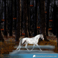 Horse Color:White Spotted Bay Tobiano Varnish Rabicano 