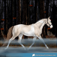 Horse Color:Liver Red Dun Pearl Sabino Tobiano Appaloosa Rabicano