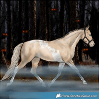 Horse Color:Liver Red Dun Snowdrop Pearl Tobiano Rabicano