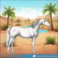 Horse Color:Gray Silver Amber Cream Champagne Roan Dun Splash Tobiano Frame Appaloosa Rabicano 