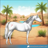 Horse Color:Gray Silver Amber Cream Champagne Roan Dun Splash Tobiano Frame Blanket Rabicano