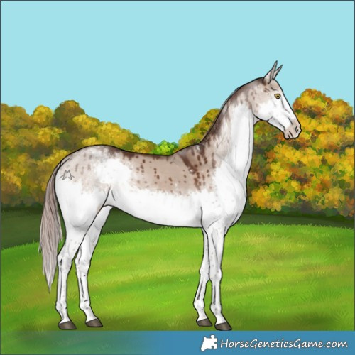 Horse Color:Liver Red Dun Splash Tobiano Brindle 