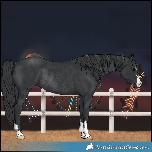 Horse Color:Black Rabicano 