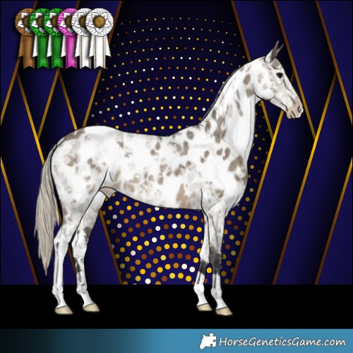 Horse Color:White Spotted Silver Smoky Grullo Ice Appaloosa 