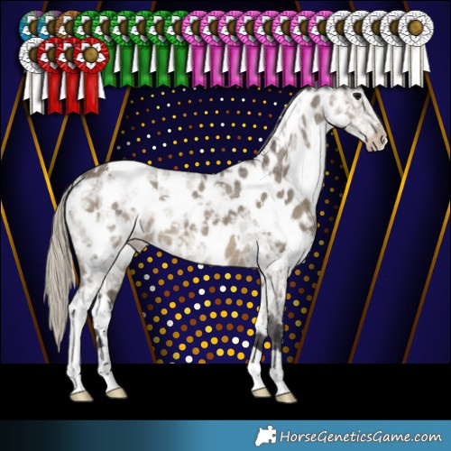 Horse Color:White Spotted Silver Smoky Grullo Ice Near Leopard 