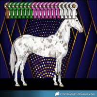 Horse Color:White Spotted Silver Smoky Grullo Ice Appaloosa 