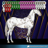Horse Color:White Spotted Silver Smoky Grullo Ice Near Leopard 