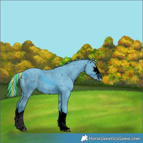 Horse Color:ERROR: UNKNOWN ANOMALY