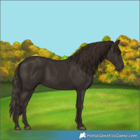Horse Color:Liver Chestnut Rabicano