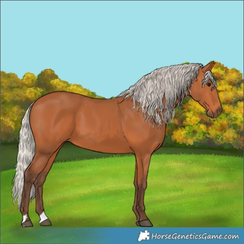 Horse Color:Silver Bay 