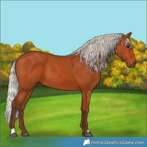Horse Color:Silver Bay 