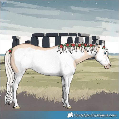 Horse Color:Silver Amber Champagne Dun Splash Frame Rabicano 