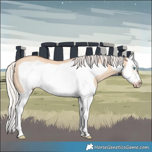 Horse Color:Silver Amber Champagne Dun Splash Frame Rabicano 