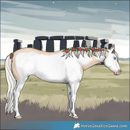 Horse Color:Silver Amber Champagne Dun Splash Frame Rabicano 