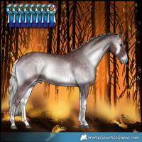 Horse Color:Chocolate Silver Blue Onyx Chinchilla 