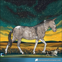 Horse Color:Bay Dun Merle Sabino Tobiano Rabicano Brindle