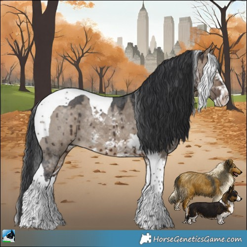 Horse Color:Brown Dun Sabino Splash Tobiano Rabicano Brindle 