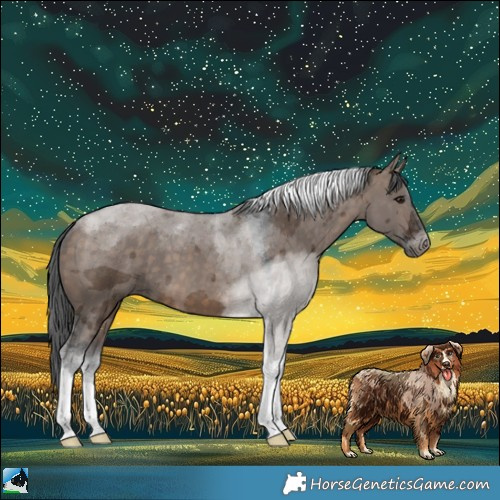 Horse Color:Brown Dun Merle Tobiano 