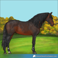 Horse Color:Brown 