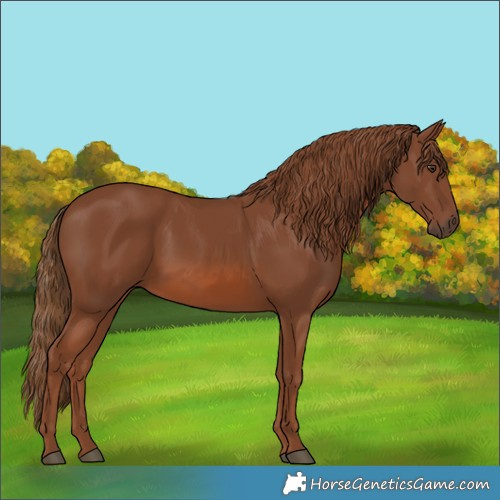 Horse Color:Chestnut 