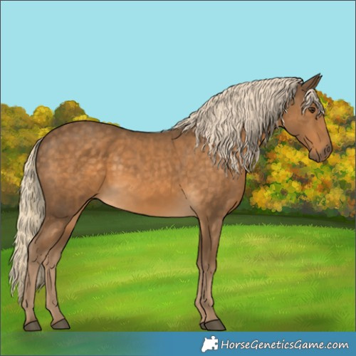 Horse Color:Chocolate Palomino 
