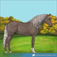 Horse Color:Silver Black 