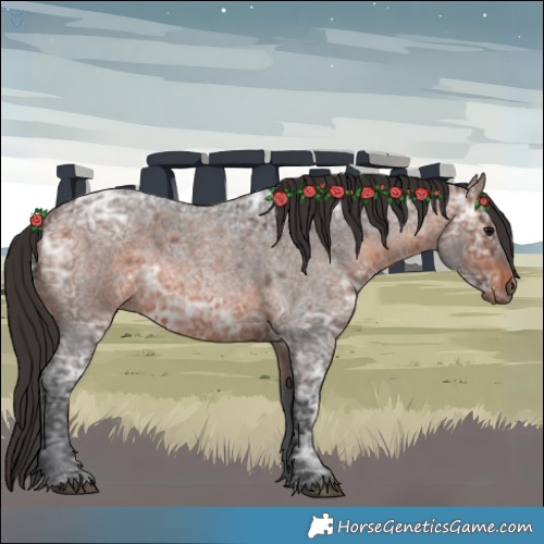 Horse Color:Brown Ice Roan 