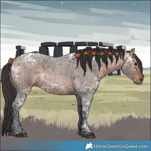 Horse Color:Brown Ice Roan