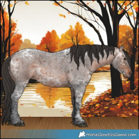 Horse Color:Brown Ice Roan 