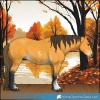 Horse Color:Buckskin Sabino