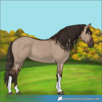 Horse Color:Liver Red Dun Tobiano Rabicano 