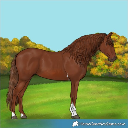 Horse Color:Chestnut Tobiano 