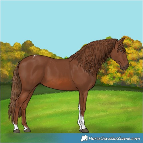 Horse Color:Chestnut Tobiano 