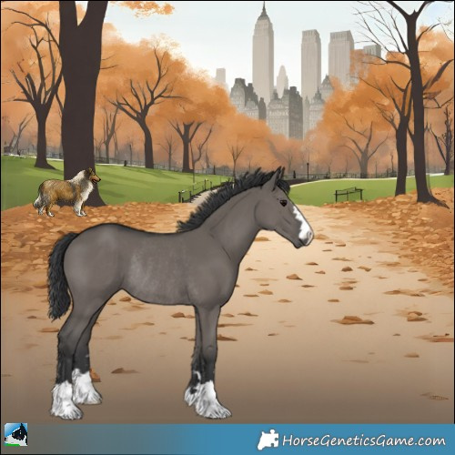 Horse Color:Grullo Rabicano 