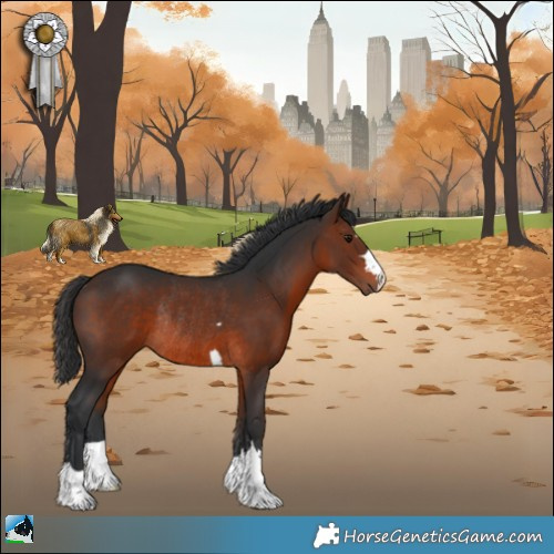 Horse Color:Brown Rabicano 