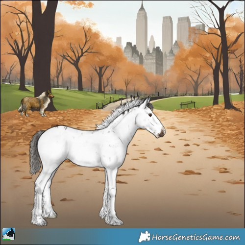 Horse Color:Liver Red Dun Sabino Rabicano 