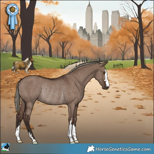 Horse Color:Liver Red Dun Mushroom Rabicano 