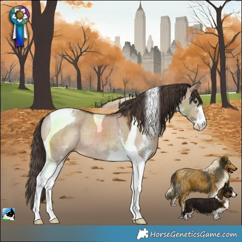 Horse Color:Liver Red Dun Sabino Tobiano Varnish 