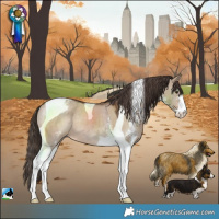 Horse Color:Liver Red Dun Sabino Tobiano Varnish 