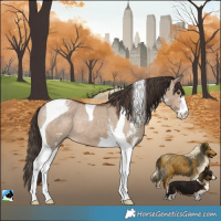Horse Color:Liver Red Dun Sabino Tobiano Blanket