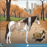 Horse Color:Liver Red Dun Sabino Tobiano Appaloosa